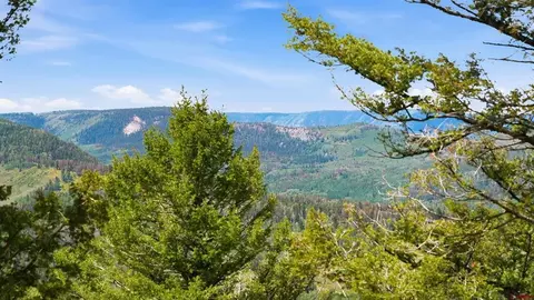 View/Area - 573 Crest Dr, Cimarron, CO 81220 photo 1 of 1