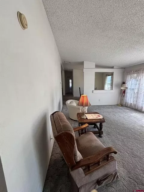 Other - 288 Animas View Dr #72, Durango, CO 81301 photo 18 of 18