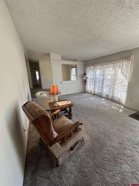 Other - 288 Animas View Dr #72, Durango, CO 81301 photo 10 of 18