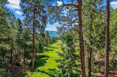 Other - 103 Glacier Cliff Dr, Durango, CO 81301 photo 9 of 10