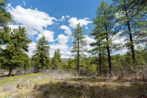 422 Oakridge Dr, Pagosa Springs, CO 81147