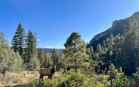 16400 County Road 500, Pagosa Springs, CO 81147