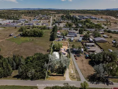 View/Area - 318 County Road 233, Durango, CO 81301 photo 1 of 5