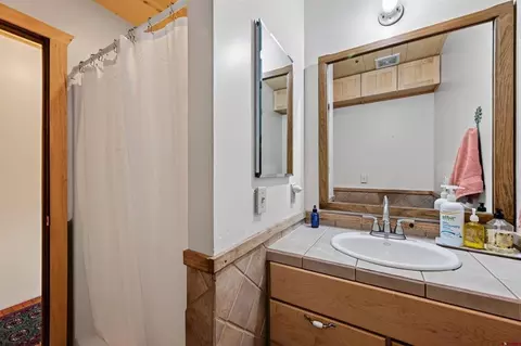 Bath - 300 Quartz Ln, Pitkin, CO 81241 photo 1 of 3