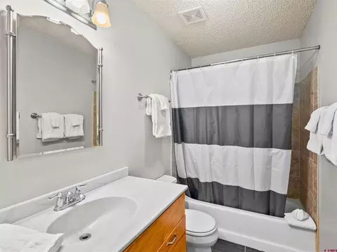 Bath - 17 Treasury Rd #3D, Crested Butte, CO 81225 photo 1 of 3