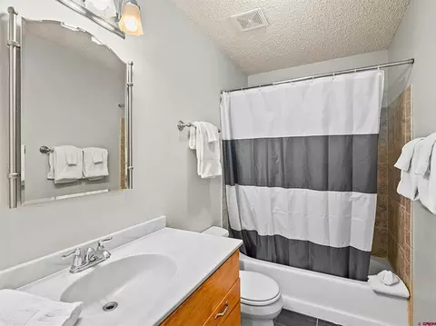 Bath - 17 Treasury Rd #3D, Crested Butte, CO 81225 photo 1 of 3