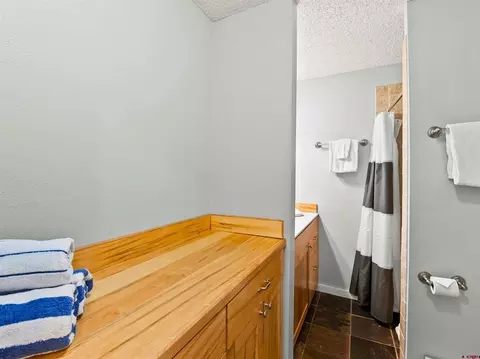Bath - 17 Treasury Rd #3D, Crested Butte, CO 81225 photo 3 of 3