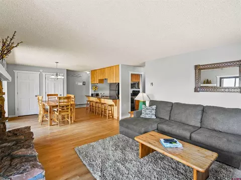 Living - 17 Treasury Rd #3D, Crested Butte, CO 81225 photo 3 of 3