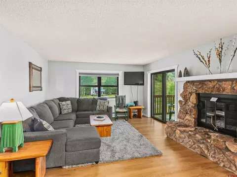 Living - 17 Treasury Rd #3D, Crested Butte, CO 81225 photo 2 of 3