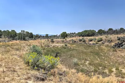 Other - 245 Etta Pl, Durango, CO 81303 photo 11 of 12