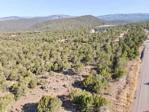 tbd Uintah Rd, Cedaredge, CO 81413 photo 7