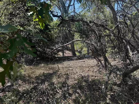 tbd Uintah Rd, Cedaredge, CO 81413 photo 4