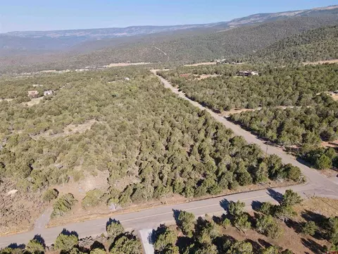 tbd Uintah Rd, Cedaredge, CO 81413 photo 6