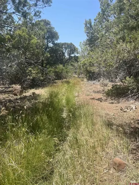 tbd Uintah Rd, Cedaredge, CO 81413 photo 2