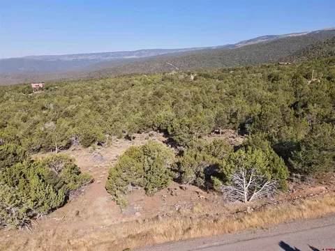 tbd Uintah Rd, Cedaredge, CO 81413 photo 8