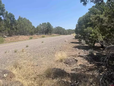 tbd Uintah Rd, Cedaredge, CO 81413 photo 3