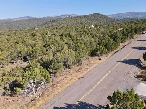 tbd Uintah Rd, Cedaredge, CO 81413 photo 9