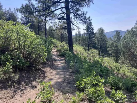 104 Winterberry Ct, Durango, CO 81301 photo 10