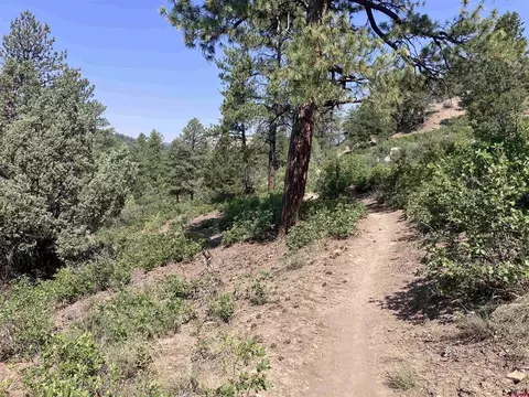 104 Winterberry Ct, Durango, CO 81301 photo 11