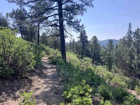 104 Winterberry Ct, Durango, CO 81301 photo 13