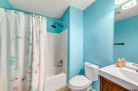 Bath - 927 Crown Ct, Fruita, CO 81521 photo 2 of 7