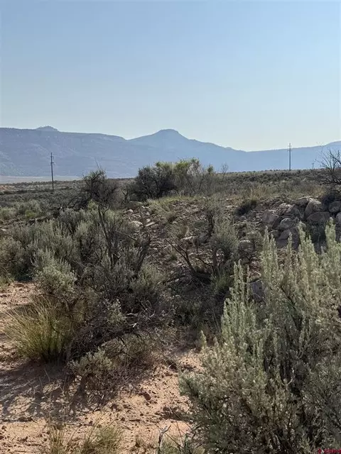 tbd Hwy 90 Hwy, Bedrock, CO 81411