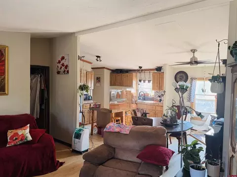Other - 150 Pine Ridge Rd, Durango, CO 81301 photo 5 of 7