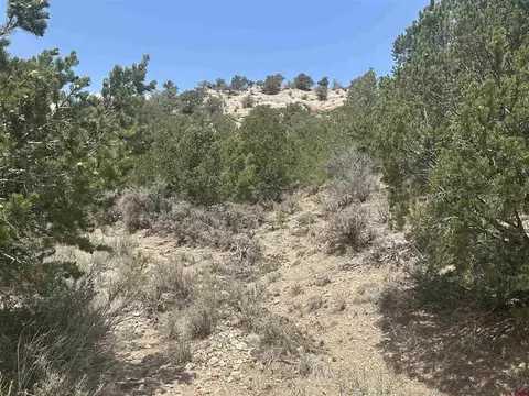 lot2653 Slegers Rd, Fort Garland, CO 81133