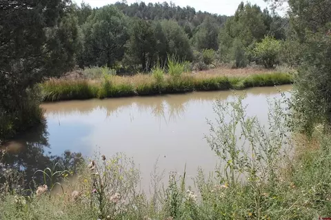 View/Area - 3605 Cr 307, Durango, CO 81303 photo 1 of 3