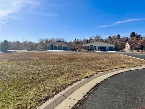 305 SE Limestone Ct, Cedaredge, CO 81413 photo 4