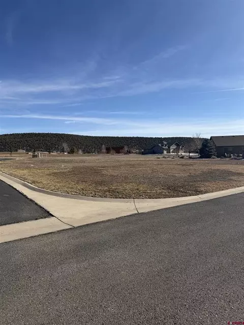 305 SE Limestone Ct, Cedaredge, CO 81413 photo 7