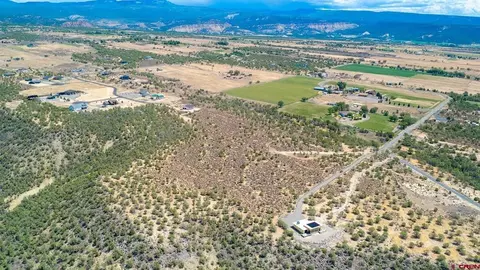 15369 2525 Rd, Cedaredge, CO 81413 photo 4