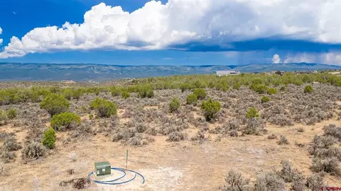 15369 2525 Rd, Cedaredge, CO 81413 photo 14
