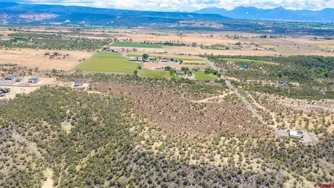 15369 2525 Rd, Cedaredge, CO 81413 photo 5