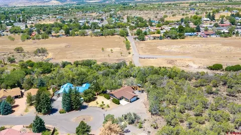 View/Area - 580 NE 4th St, Cedaredge, CO 81413 photo 2 of 8