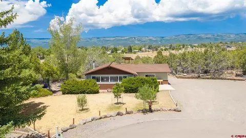 Other - 580 NE 4th St, Cedaredge, CO 81413 photo 10 of 10