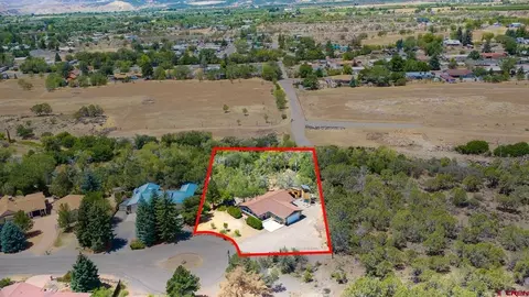 View/Area - 580 NE 4th St, Cedaredge, CO 81413 photo 1 of 8