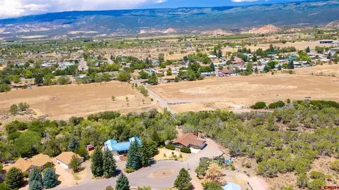 View/Area - 580 NE 4th St, Cedaredge, CO 81413 photo 3 of 8