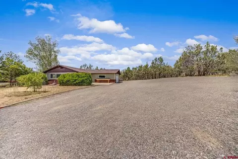 Other - 580 NE 4th St, Cedaredge, CO 81413 photo 8 of 10