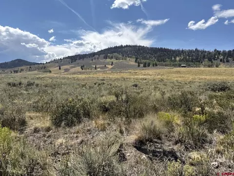 100 Monarch Rd, Powderhorn, CO 81243