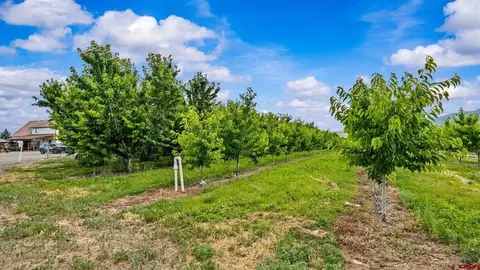 20977 Nowhere Rd, Eckert, CO 81418 photo 3