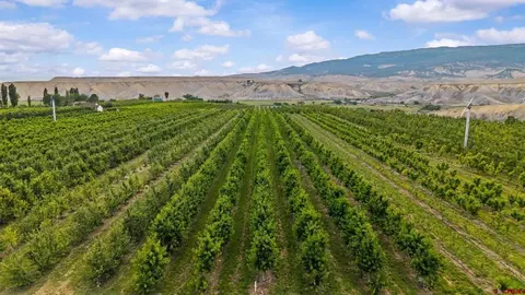 20977 Nowhere Rd, Eckert, CO 81418 photo 6
