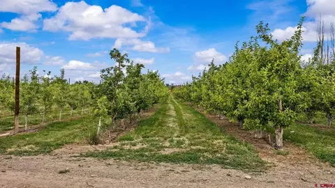 20977 Nowhere Rd, Eckert, CO 81418 photo 8