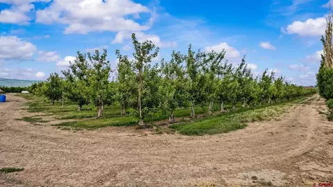 20977 Nowhere Rd, Eckert, CO 81418 photo 7