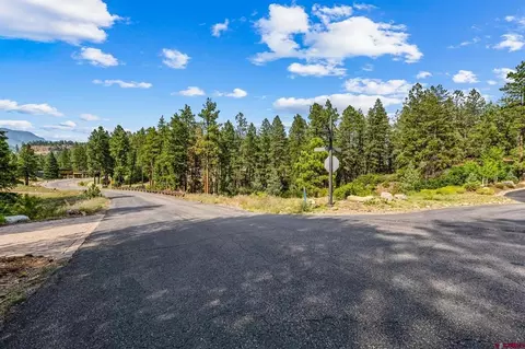 307 Glacier Cliff Dr, Durango, CO 81301 photo 4