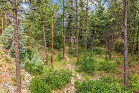 307 Glacier Cliff Dr, Durango, CO 81301 photo 17