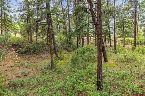 307 Glacier Cliff Dr, Durango, CO 81301 photo 19