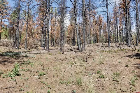 190 Windmill Pl, Pagosa Springs, CO 81147