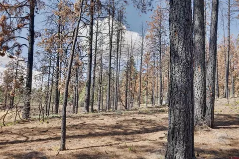 226 Windmill Pl, Pagosa Springs, CO 81147
