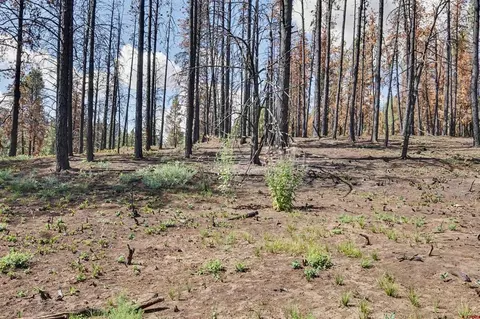 190 226 Windmill Pl, Pagosa Springs, CO 81147